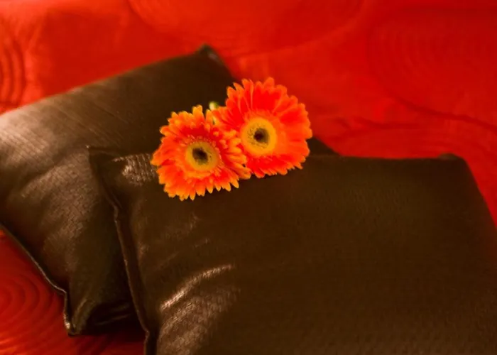 Guest house Andromeda Suites