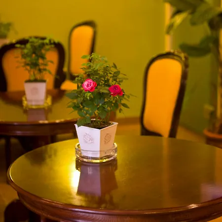 Guest house Andromeda Suites 3*