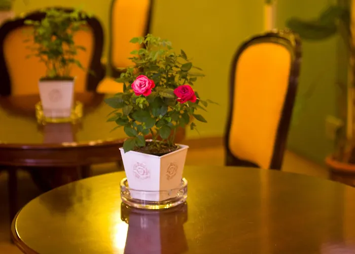 Maison d'hôtes Andromeda 4*